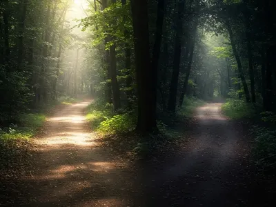 Hero image for family-building-after-infertility