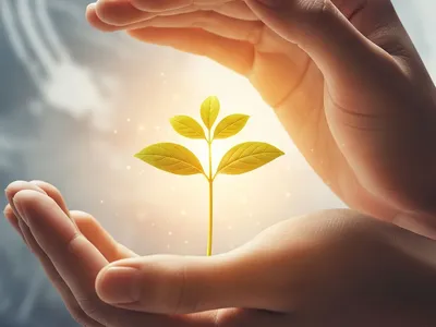 Hero image for ivf-news-anxiety-coping-strategies