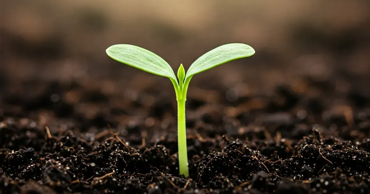 Hero image for long-term-postpartum-self-care