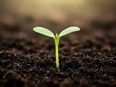 Hero image for long-term-postpartum-self-care